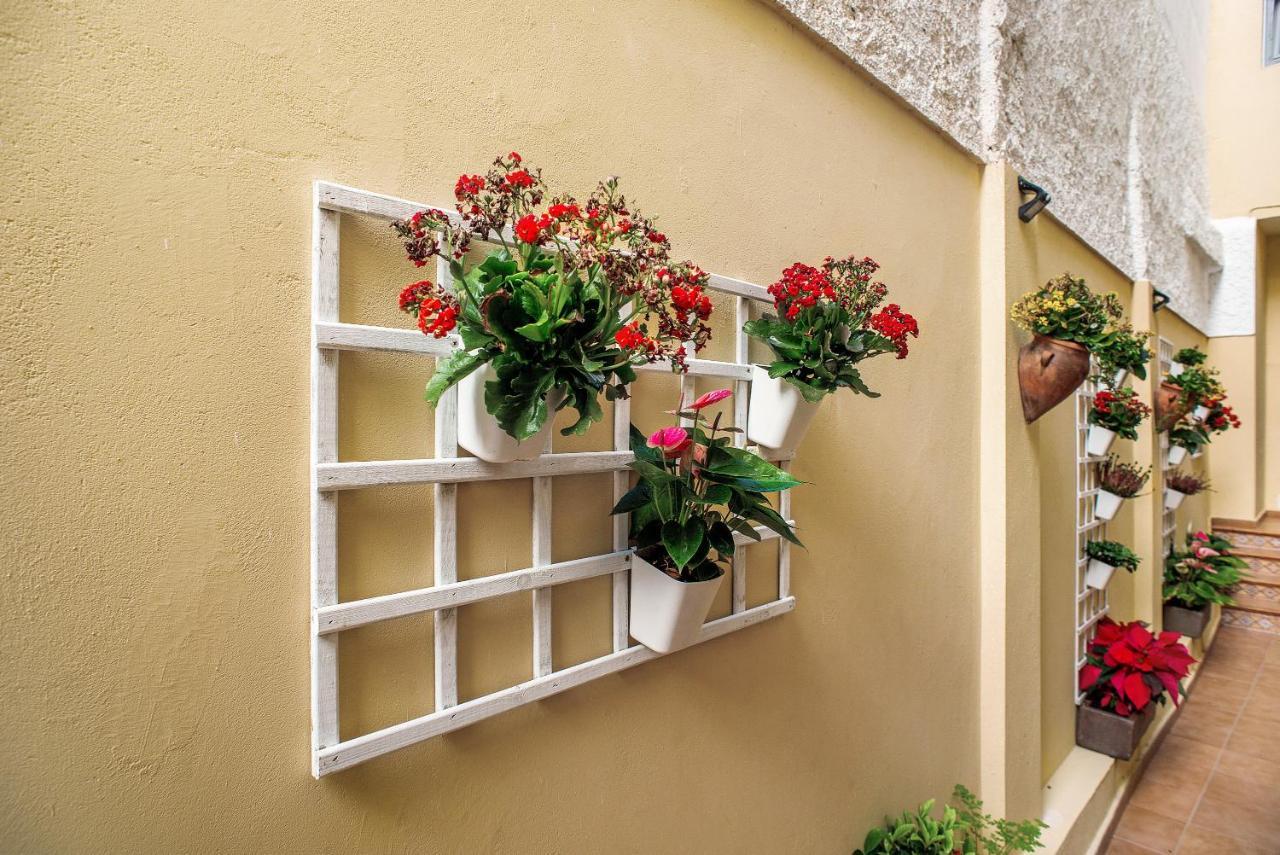 Las Sales Duplex Moya  Exterior foto